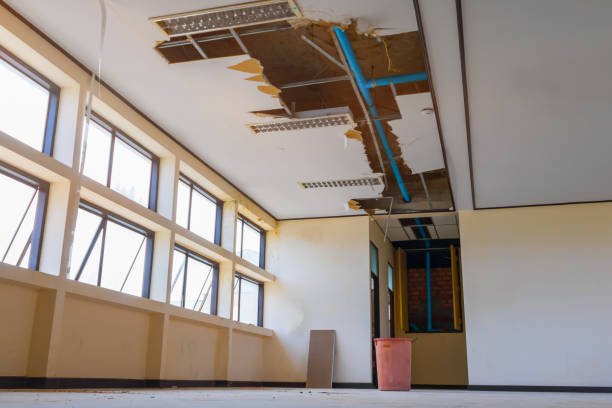 Best 24-hour water damage restoration  in Arapahoe, WY