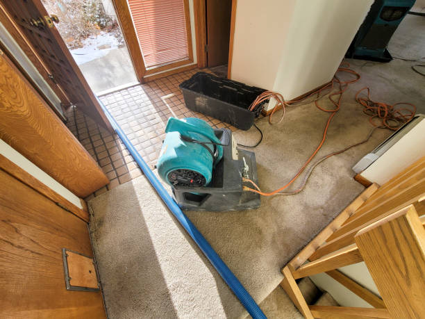 Water damage restoration mold remediation in WY
