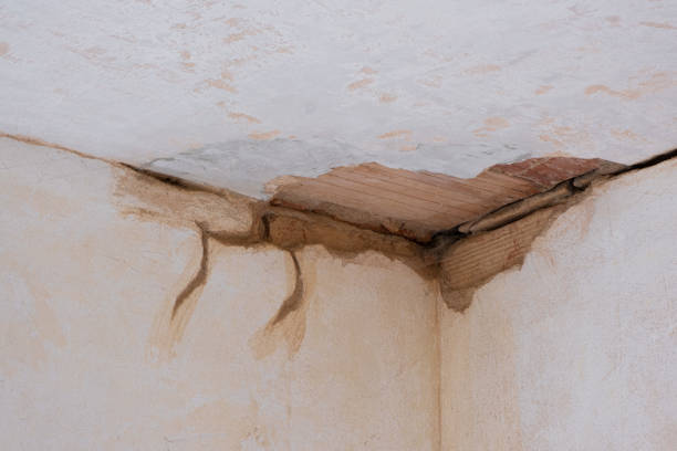 Best Sewage cleanup and water damage restoration  in Arapahoe, WY