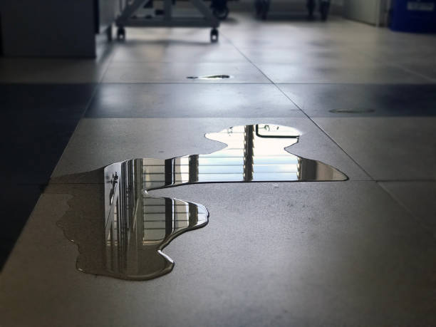 Best Water damage contractors near me  in Arapahoe, WY