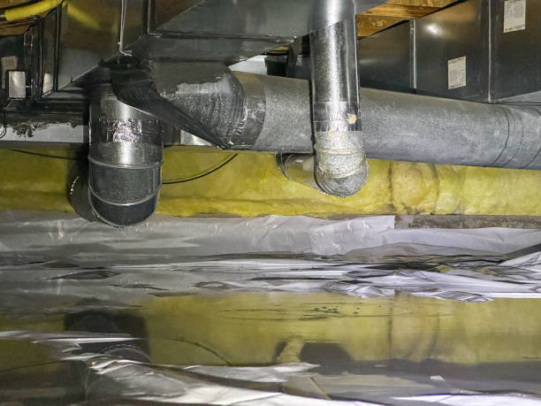 Best Carpet water damage restoration  in Arapahoe, WY