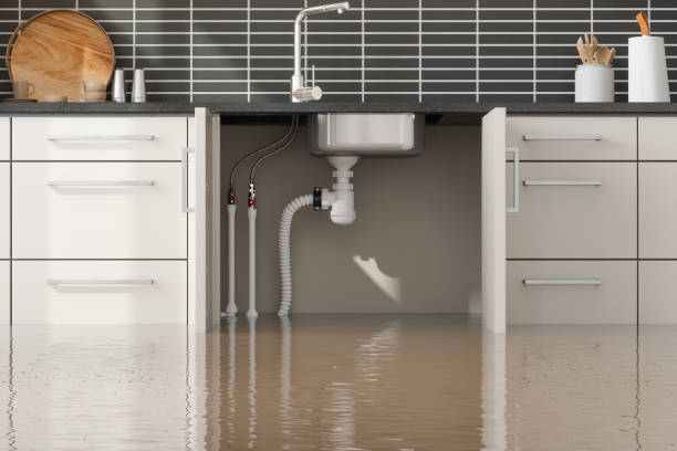 , WY Water damage restoration Company
