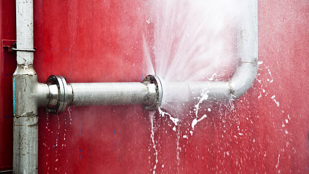 Carpet water damage restoration in WY