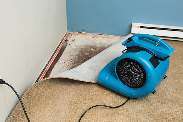 Best Residential water damage restoration  in Arapahoe, WY
